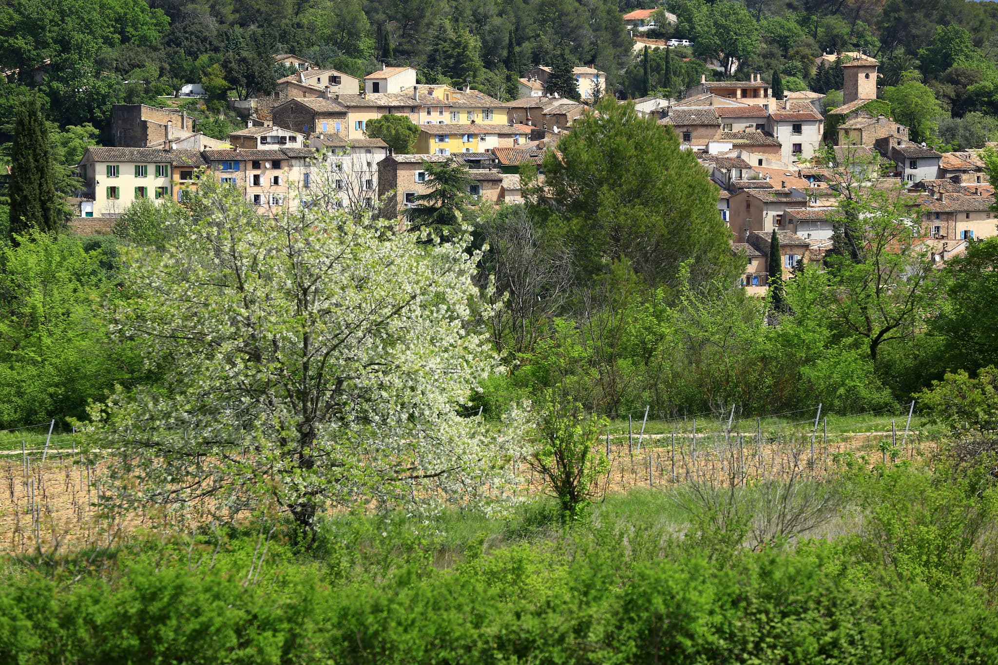 La Motte — village provençal du Var, paysage chargé d'histoire